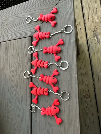 https://makerworld.bblmw.com/makerworld/model/1019976/1001030/ratings/b711ab60-85c7-11f0-9f52-d94fd682ad4c.jpg