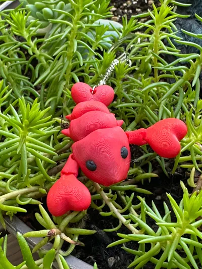https://makerworld.bblmw.com/makerworld/model/1019976/1001030/ratings/b72cad70-85c7-11f0-9f52-d94fd682ad4c.jpg