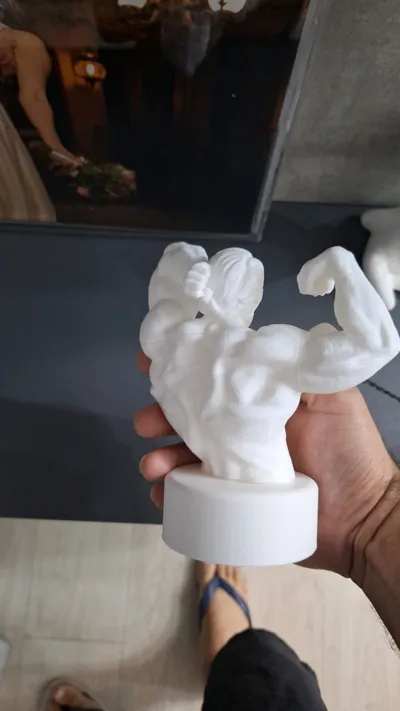 https://makerworld.bblmw.com/makerworld/model/1020721/1001985/ratings/049cc7d0-345a-11f0-9557-375fcb937b32.jpg