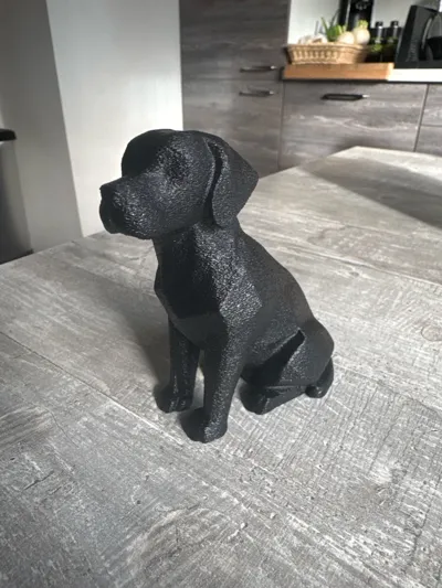 https://makerworld.bblmw.com/makerworld/model/1020972/1002321/ratings/a115ccd0-a4e2-11f0-a5cd-01cb85d3970e.jpg