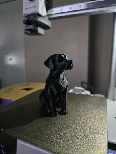https://makerworld.bblmw.com/makerworld/model/1020972/1002321/ratings/ca5bc760-5498-11f0-95ae-0b5df22b45d5.jpg