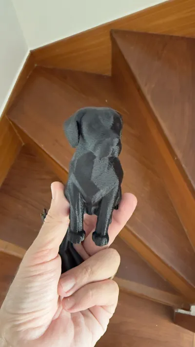 https://makerworld.bblmw.com/makerworld/model/1020972/1002321/ratings/e525bb90-b10a-11f0-8622-8393b370b4b3.jpg