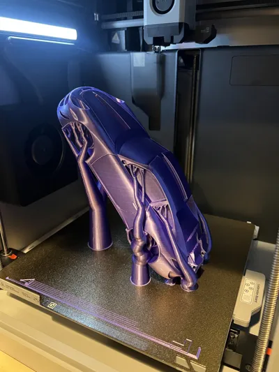 https://makerworld.bblmw.com/makerworld/model/1021036/1002397/ratings/92c7a130-099c-11f0-9b8e-9d20c930dbda.jpg