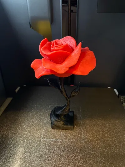 https://makerworld.bblmw.com/makerworld/model/1021047/1002413/ratings/1251d960-1664-11f0-8b9b-878c382f290a.jpg