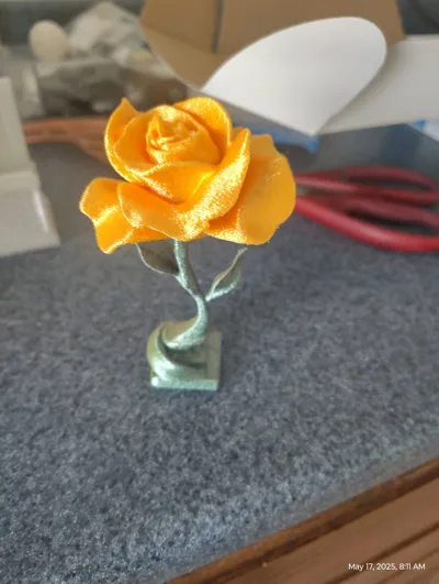 https://makerworld.bblmw.com/makerworld/model/1021047/1011407/ratings/7a6e89c0-3320-11f0-a8cb-7bd52042f963.jpg
