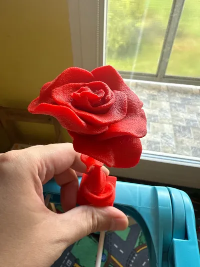 https://makerworld.bblmw.com/makerworld/model/1021047/1012268/ratings/ce858b40-6ec0-11f0-b50e-d7889ee668ad.jpg
