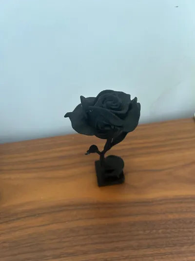 https://makerworld.bblmw.com/makerworld/model/1021047/1012268/ratings/db3cb020-2d70-11f0-9dd4-2582f1e9faed.jpg