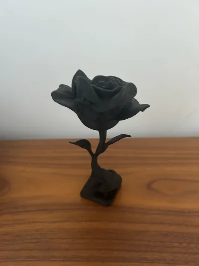 https://makerworld.bblmw.com/makerworld/model/1021047/1012268/ratings/db3cd730-2d70-11f0-9dd4-2582f1e9faed.jpg