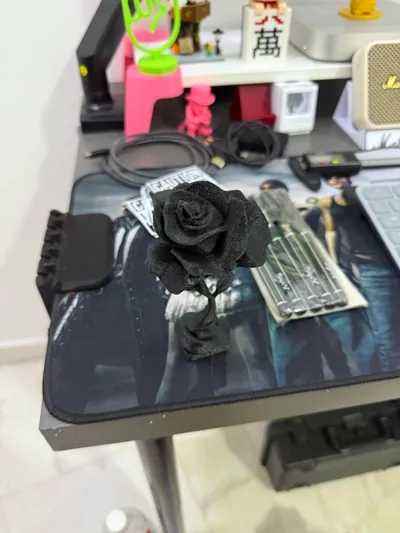 https://makerworld.bblmw.com/makerworld/model/1021047/1012273/ratings/a8d18000-4b59-11f0-951b-e96557777465.jpg