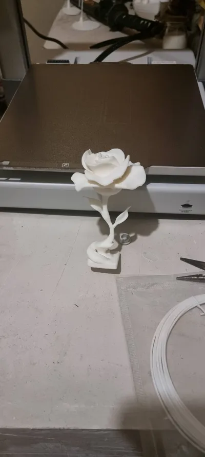 https://makerworld.bblmw.com/makerworld/model/1021047/1012273/ratings/d75c4ab0-6470-11f0-a4d2-6df3d34dc6a4.jpg