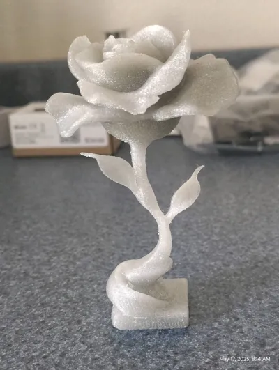https://makerworld.bblmw.com/makerworld/model/1021047/1012273/ratings/ef62e050-3320-11f0-a8cb-7bd52042f963.jpg