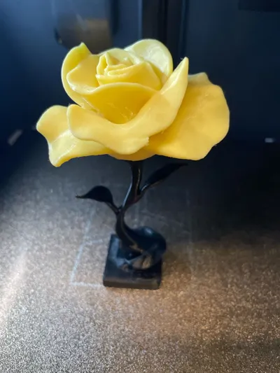 https://makerworld.bblmw.com/makerworld/model/1021047/1013694/ratings/31e914f0-14cf-11f0-bf22-d1f61b972efa.jpg