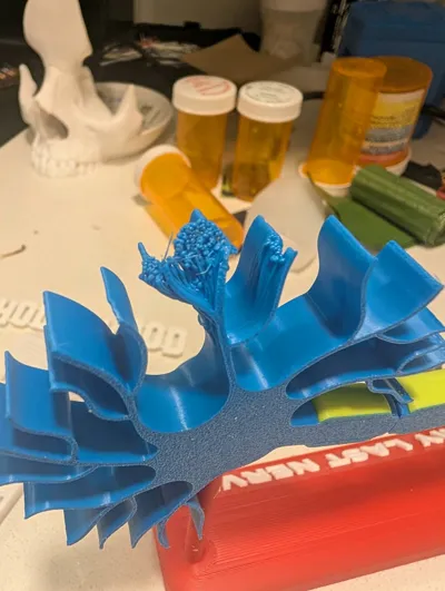 https://makerworld.bblmw.com/makerworld/model/1021524/1003005/ratings/49b29d50-633e-11f0-bca0-236e045b3342.jpg