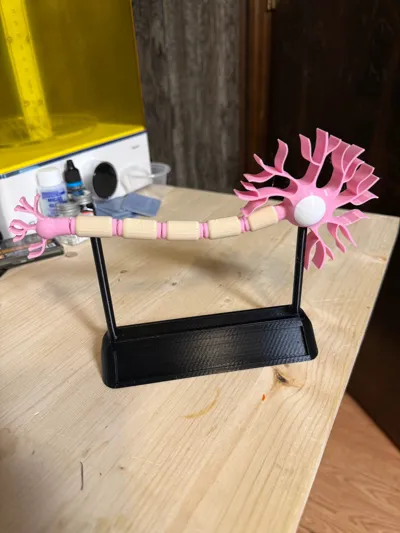https://makerworld.bblmw.com/makerworld/model/1021524/1003005/ratings/de1c27c0-3ee7-11f0-b0bf-1f70fcc79ac8.jpg