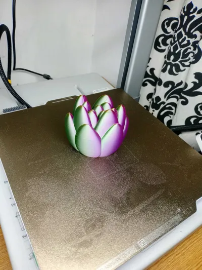 https://makerworld.bblmw.com/makerworld/model/1022057/1003632/ratings/f2dd1100-ac84-11f0-8e1e-e96f490e5c18.jpg