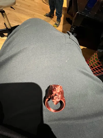 https://makerworld.bblmw.com/makerworld/model/1022875/1004611/ratings/2a0eab70-4722-11f0-93d3-3d097dd65a46.jpg