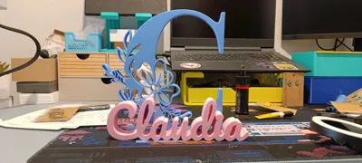 https://makerworld.bblmw.com/makerworld/model/1023577/1005414/ratings/f0b47a30-20e3-11f0-a0bc-bd7b358ba5e4.jpg