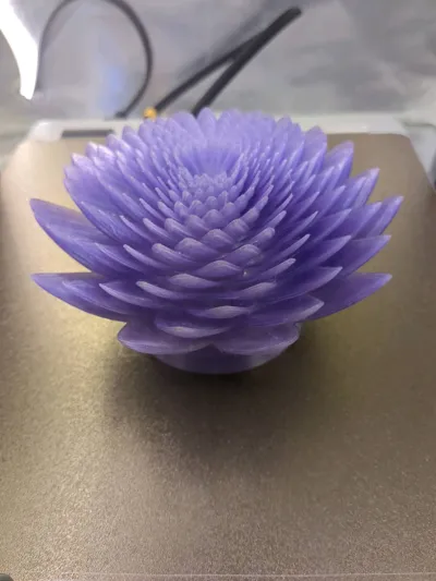 https://makerworld.bblmw.com/makerworld/model/1023704/1005510/ratings/c2572a90-72a8-11f0-94d8-0b1b2b7346a4.jpg