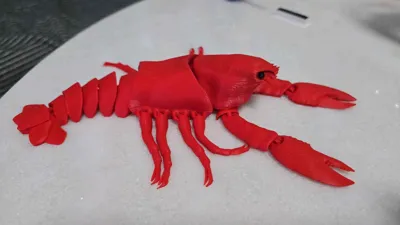 https://makerworld.bblmw.com/makerworld/model/1023716/1005525/ratings/25124e80-39a1-11f0-8ce2-799c0aa33a8f.jpg