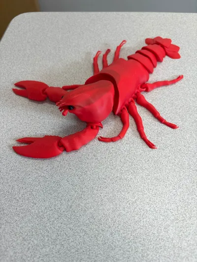 https://makerworld.bblmw.com/makerworld/model/1023716/1005525/ratings/2dc2fd90-8a91-11f0-87ba-efbf31ebd101.jpg