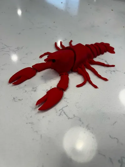 https://makerworld.bblmw.com/makerworld/model/1023716/1005525/ratings/849d1310-8e80-11f0-b53b-1d9f6c5b64a0.jpg