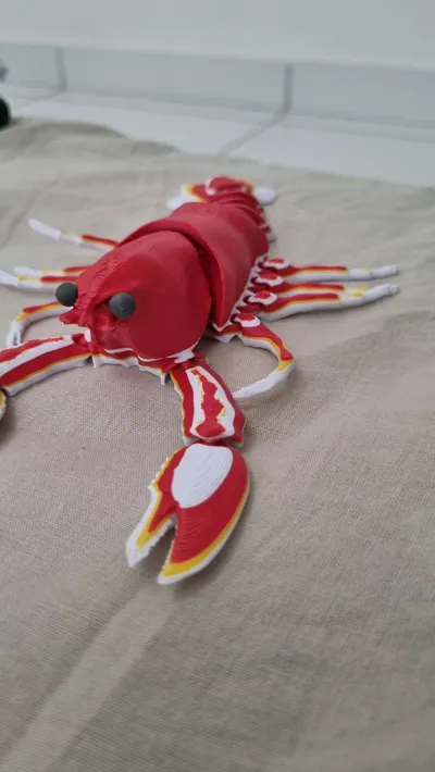https://makerworld.bblmw.com/makerworld/model/1023716/1005525/ratings/a4856b60-236d-11f0-8155-5334322fa196.jpg