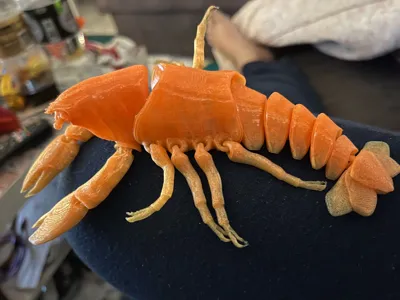 https://makerworld.bblmw.com/makerworld/model/1023716/1019046/ratings/94d91010-66e6-11f0-8282-6db1832200e7.jpg