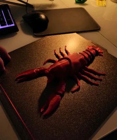 https://makerworld.bblmw.com/makerworld/model/1023716/1446190/ratings/9f6c79d0-3f2d-11f0-a1d9-61aa89b134f6.jpg