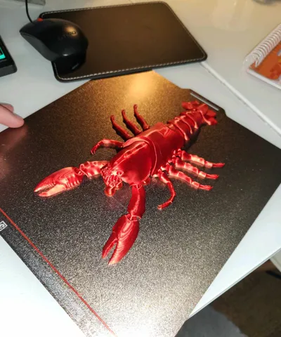 https://makerworld.bblmw.com/makerworld/model/1023716/1446190/ratings/9f770120-3f2d-11f0-a1d9-61aa89b134f6.jpg