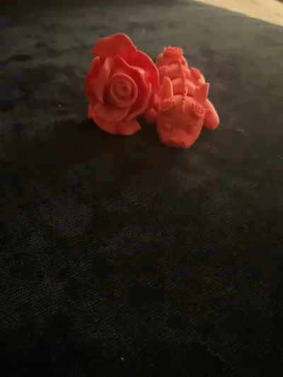 https://makerworld.bblmw.com/makerworld/model/1024460/1006392/ratings/dead6b60-eab6-11f0-9d69-2b29151b5b76.jpg