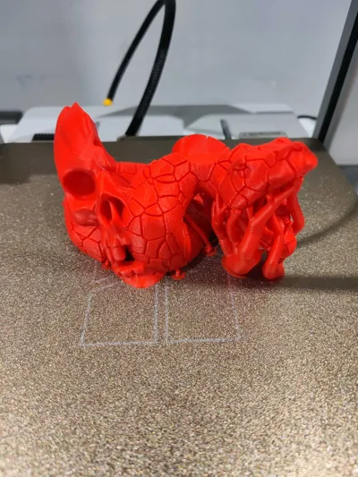 https://makerworld.bblmw.com/makerworld/model/1024669/1006639/ratings/93cd5790-9bfb-11f0-a0b2-f186736e3a95.jpg