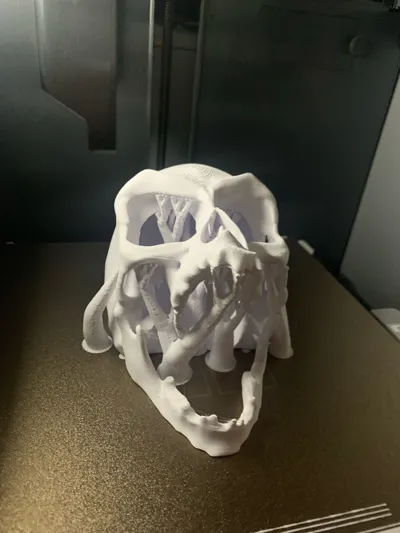 https://makerworld.bblmw.com/makerworld/model/1024716/1006706/ratings/6bb709a0-121b-11f0-b0f2-0723ce70451c.jpg