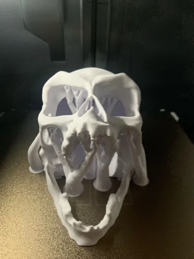 https://makerworld.bblmw.com/makerworld/model/1024716/1006706/ratings/6bb7f400-121b-11f0-b0f2-0723ce70451c.jpg