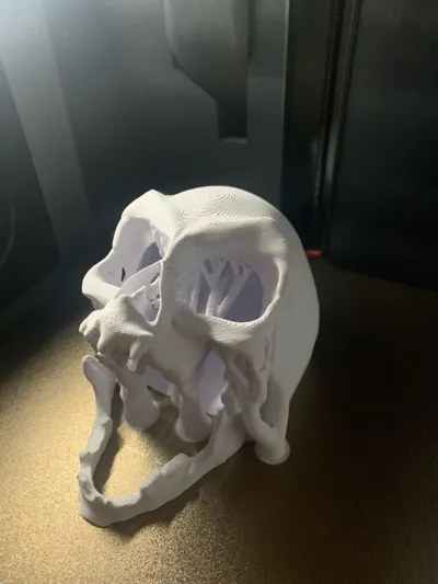 https://makerworld.bblmw.com/makerworld/model/1024716/1006706/ratings/6bb90570-121b-11f0-b0f2-0723ce70451c.jpg