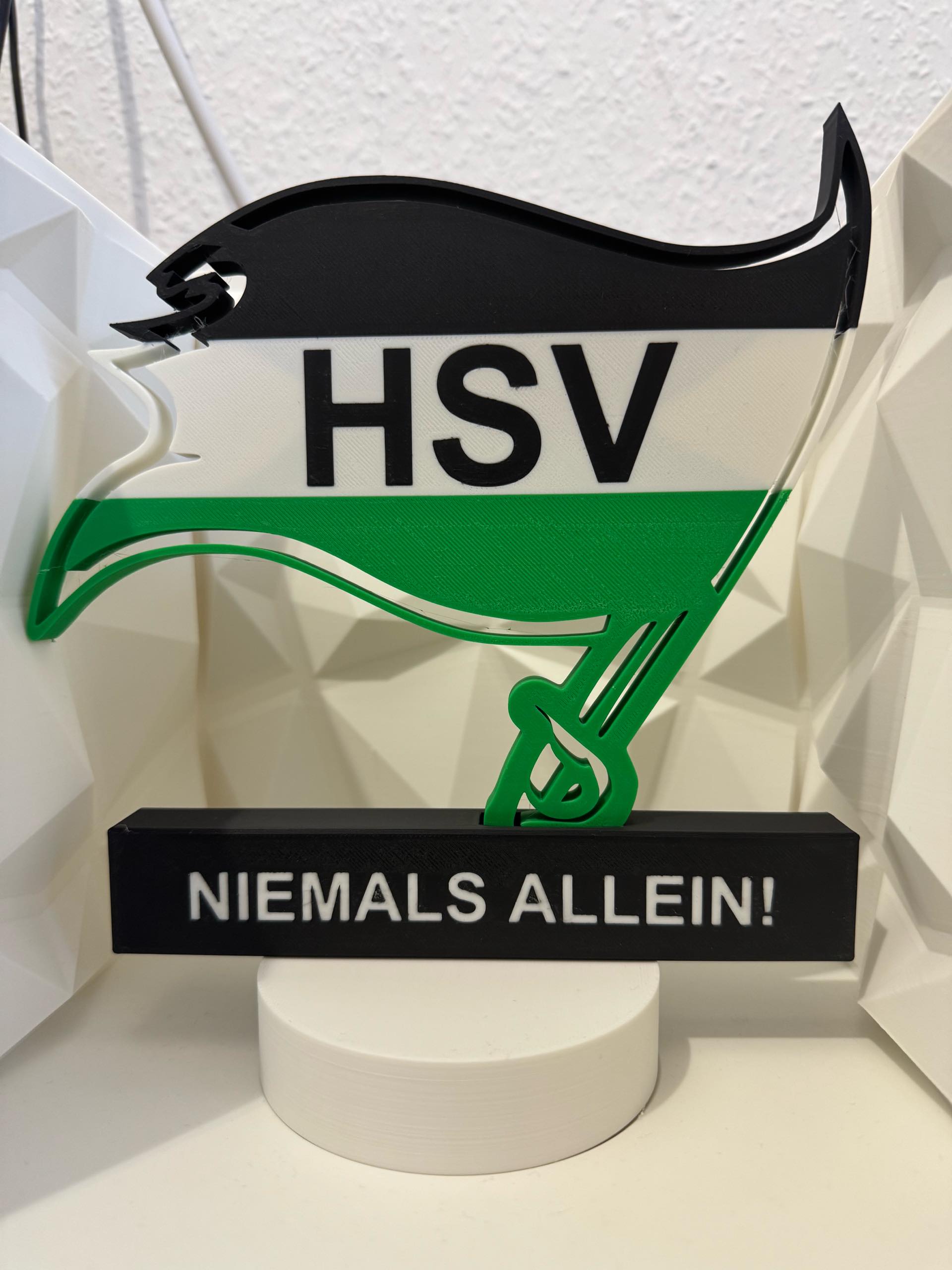 Hannover 96 Flag - Free 3D Print Model - MakerWorld