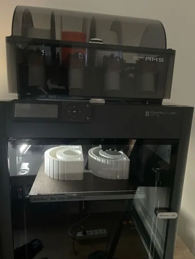 https://makerworld.bblmw.com/makerworld/model/1027657/1017252/ratings/f4109700-7083-11f0-a7da-4944f095570d.jpg