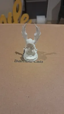 https://makerworld.bblmw.com/makerworld/model/1028659/1011277/ratings/e860f170-1890-11f0-b16c-3b75ae440b2b.jpg