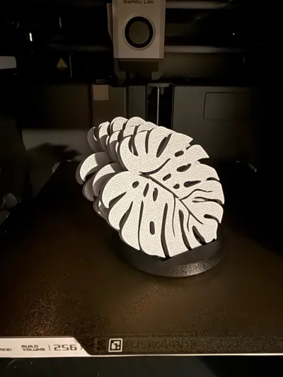 https://makerworld.bblmw.com/makerworld/model/1029148/1011931/ratings/0e15b0d0-267f-11f0-88c9-3d1ba1ab809e.jpg