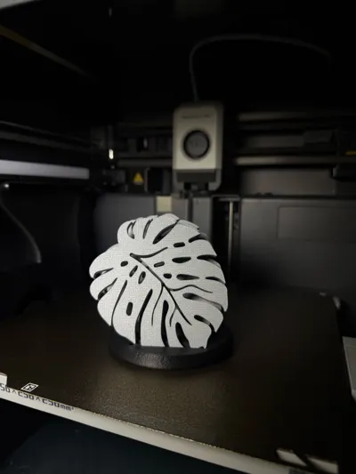 https://makerworld.bblmw.com/makerworld/model/1029148/1011931/ratings/0e20ad50-267f-11f0-88c9-3d1ba1ab809e.jpg