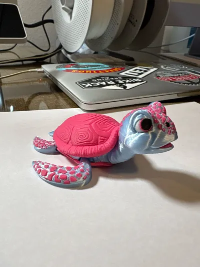 https://makerworld.bblmw.com/makerworld/model/1029214/1011641/ratings/088b57c0-fa76-11f0-98e2-912f026d2012.jpg
