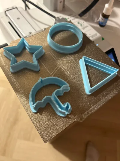 https://makerworld.bblmw.com/makerworld/model/1029460/1011926/ratings/7e2284f0-9e27-11f0-a824-25d874d3093e.jpg