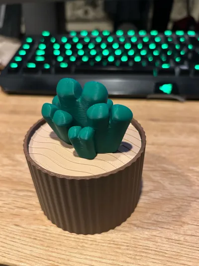 https://makerworld.bblmw.com/makerworld/model/1029820/1012394/ratings/2cd964e0-6355-11f0-bf73-13e736108d0e.jpg