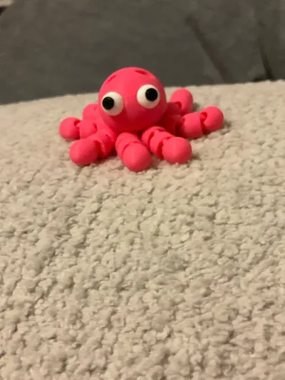 https://makerworld.bblmw.com/makerworld/model/1029890/1012486/ratings/09d59200-d319-11f0-a656-93472c00d616.jpg