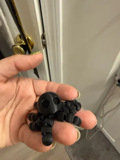 https://makerworld.bblmw.com/makerworld/model/1029890/1012486/ratings/3b5a4c90-6509-11f0-af9d-4346a221fba0.jpg