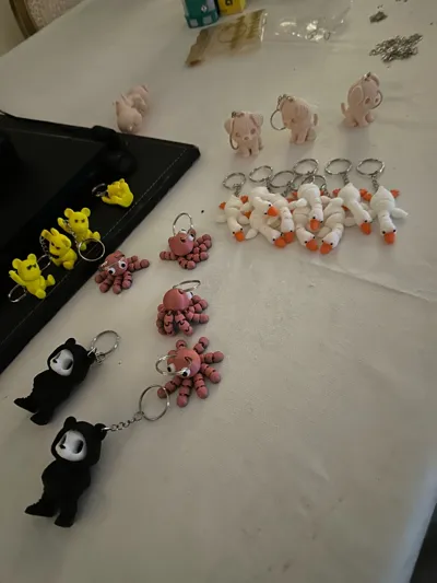 https://makerworld.bblmw.com/makerworld/model/1029890/1012486/ratings/71d9d0e0-ddd8-11f0-aee9-8df02573ec11.jpg