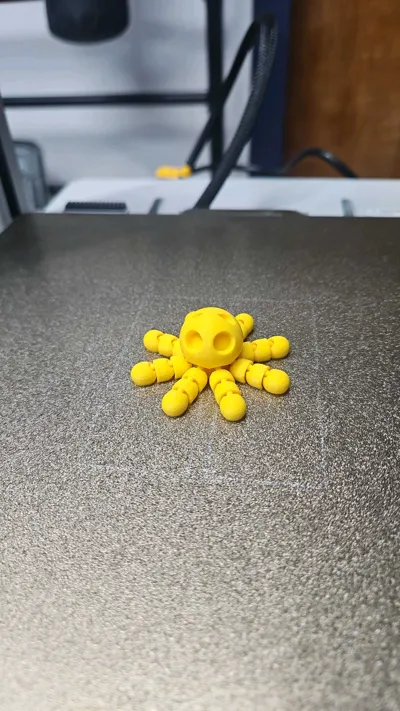 https://makerworld.bblmw.com/makerworld/model/1029890/1012486/ratings/76c82f60-1c69-11f0-b6dd-73907a2cb123.jpg