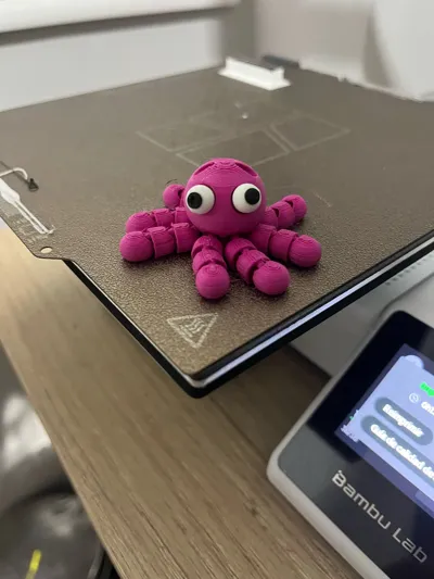 https://makerworld.bblmw.com/makerworld/model/1029890/1012486/ratings/7b3c8150-9efe-11f0-a7db-ff3597665248.jpg