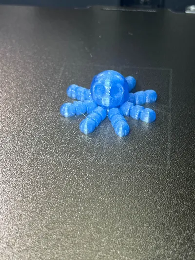 https://makerworld.bblmw.com/makerworld/model/1029890/1012486/ratings/8b9a3490-ec3b-11f0-843e-c59e72e85b3c.jpg