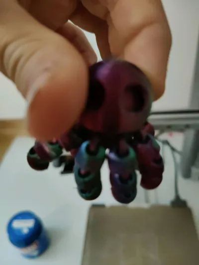 https://makerworld.bblmw.com/makerworld/model/1029890/1012486/ratings/b1e9a0b0-4dab-11f0-bd5b-7102c3c76edf.jpg