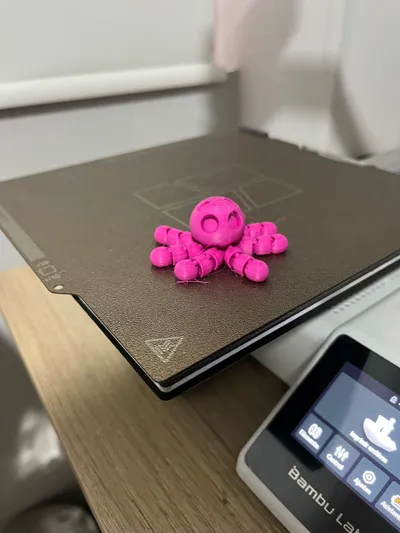 https://makerworld.bblmw.com/makerworld/model/1029890/1012486/ratings/b9816410-9efb-11f0-b534-abc2f423e0b9.jpg
